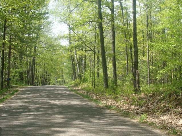 Lot 9 Flannery Lake Road Rhinelander, WI 54501 - Photo 5 of 18 Gallery Image 5