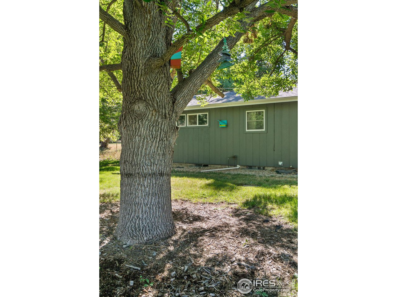 7705 Baseline Road Boulder, CO 80303 - Photo 35 of 40 a view of a yard