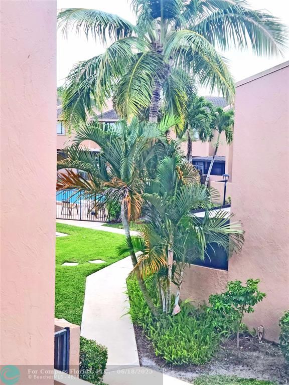 139 Sparrow Drive, Unit 4B Royal Palm Beach, FL 33411 - Photo 23 of 48 a view of a yard with a palm tree