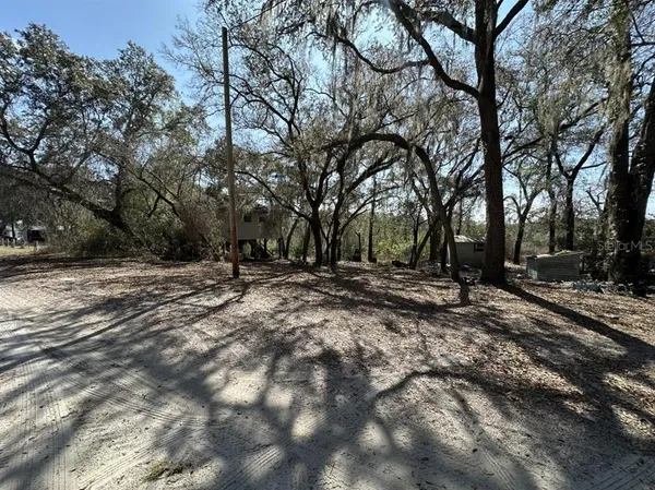 a view of outdoor space with lots of trees