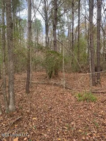 $150,000 | 4900 Old Highway 51, Crystal Springs, MS 39059