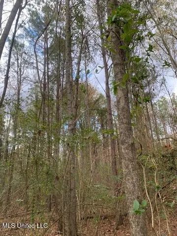 $150,000 | 4900 Old Highway 51, Crystal Springs, MS 39059