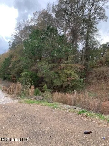 $150,000 | 4900 Old Highway 51, Crystal Springs, MS 39059