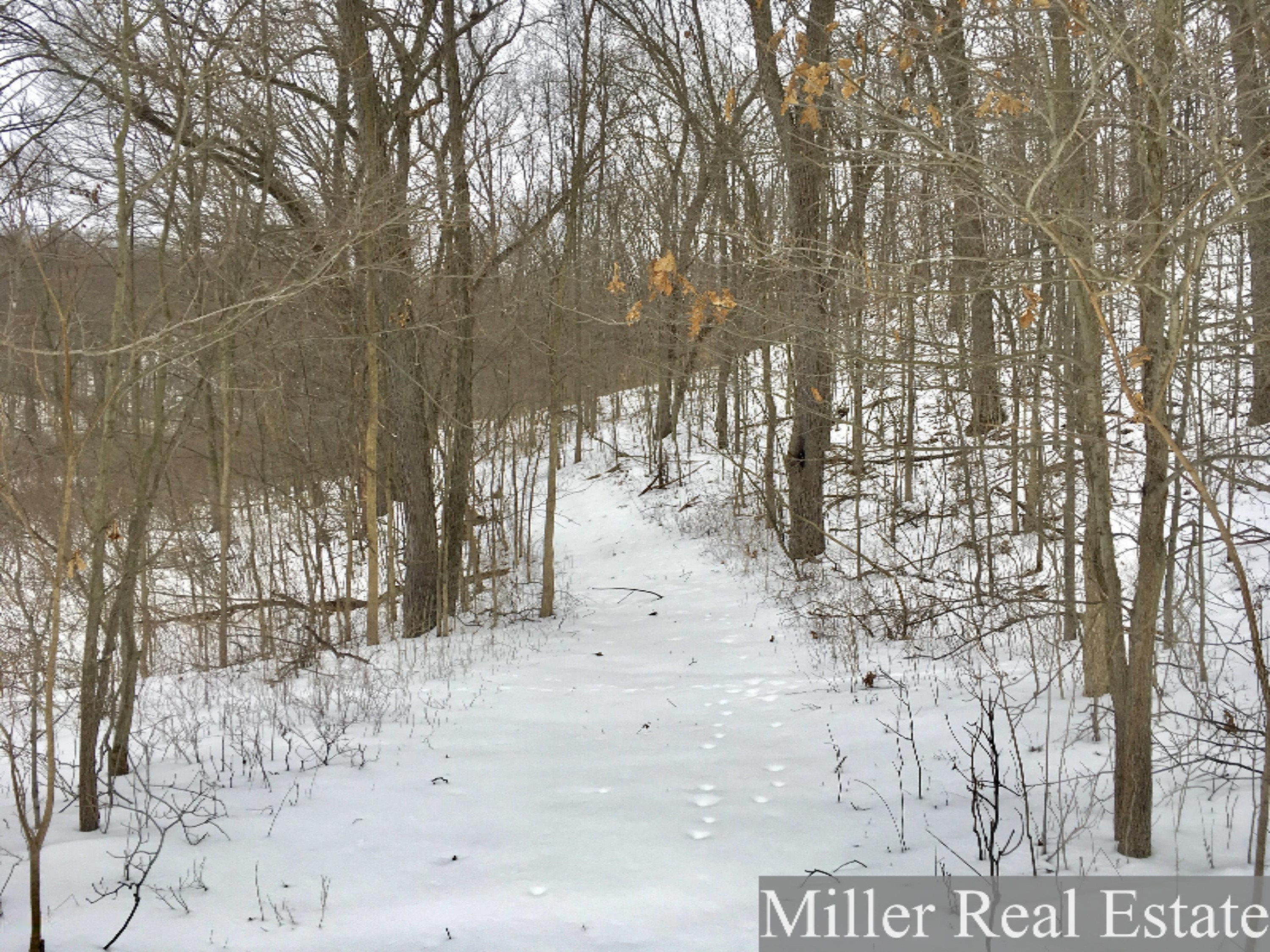 7475 South Norris Road Delton, MI 49046 - Photo 1 of 20 Photo Feb 20, 14 25 27