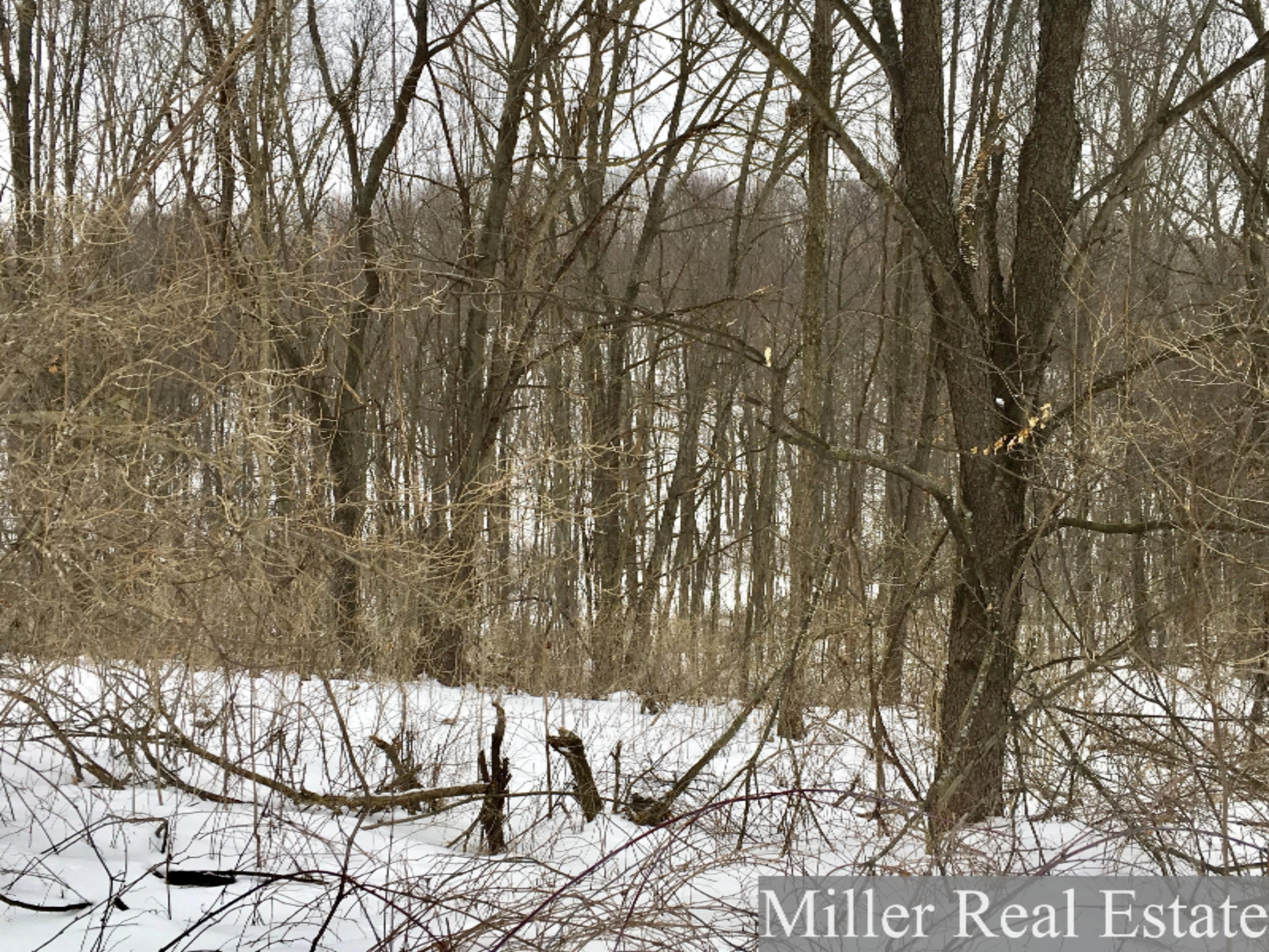 7475 South Norris Road Delton, MI 49046 - Photo 11 of 20 Photo Feb 20, 14 19 44