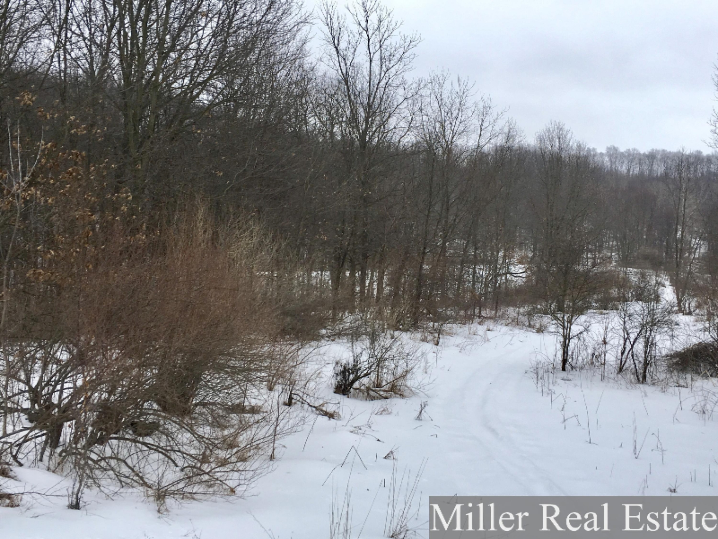 7475 South Norris Road Delton, MI 49046 - Photo 13 of 20 Photo Feb 20, 14 20 59