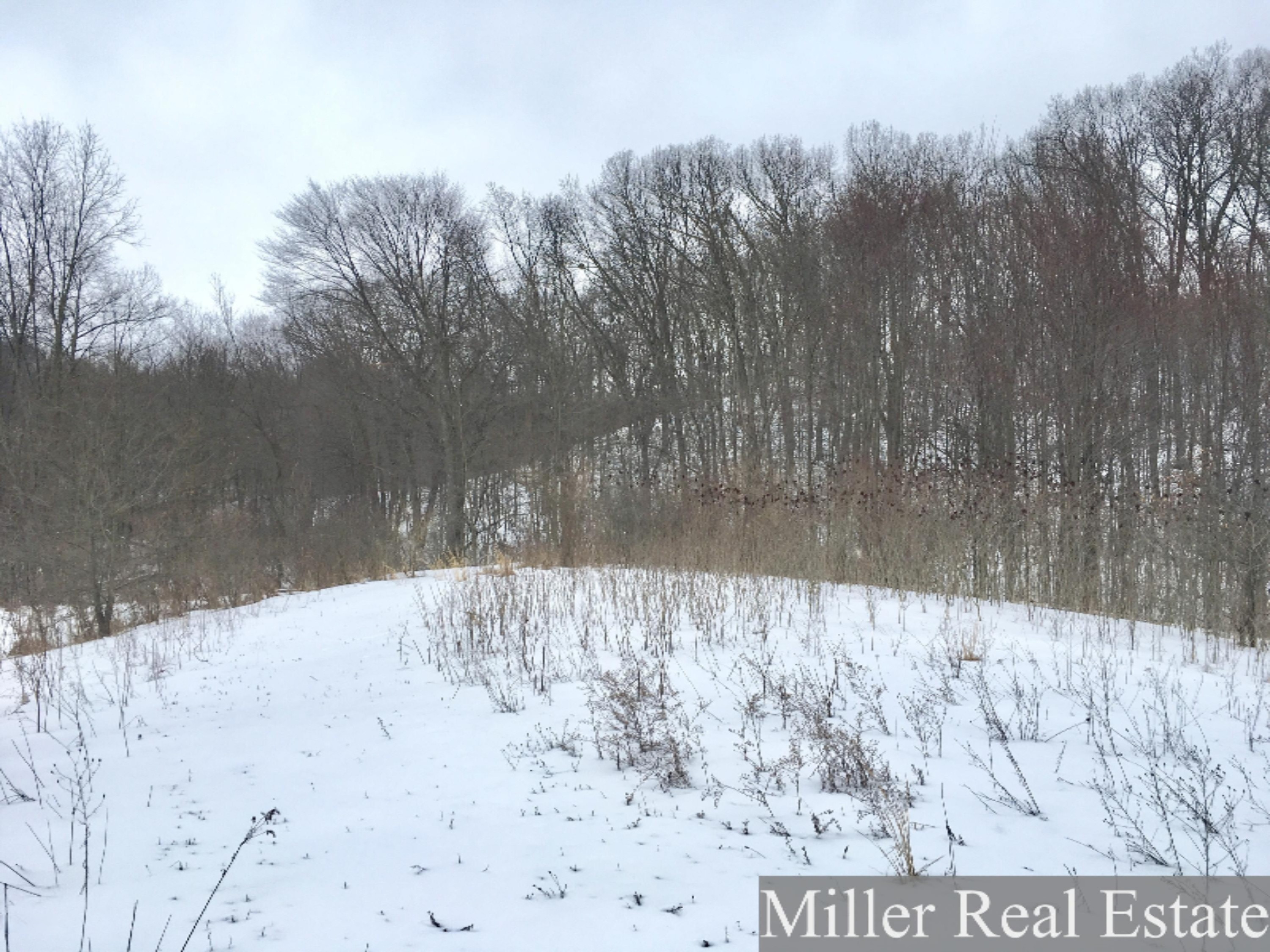 7475 South Norris Road Delton, MI 49046 - Photo 14 of 20 Photo Feb 20, 14 23 23