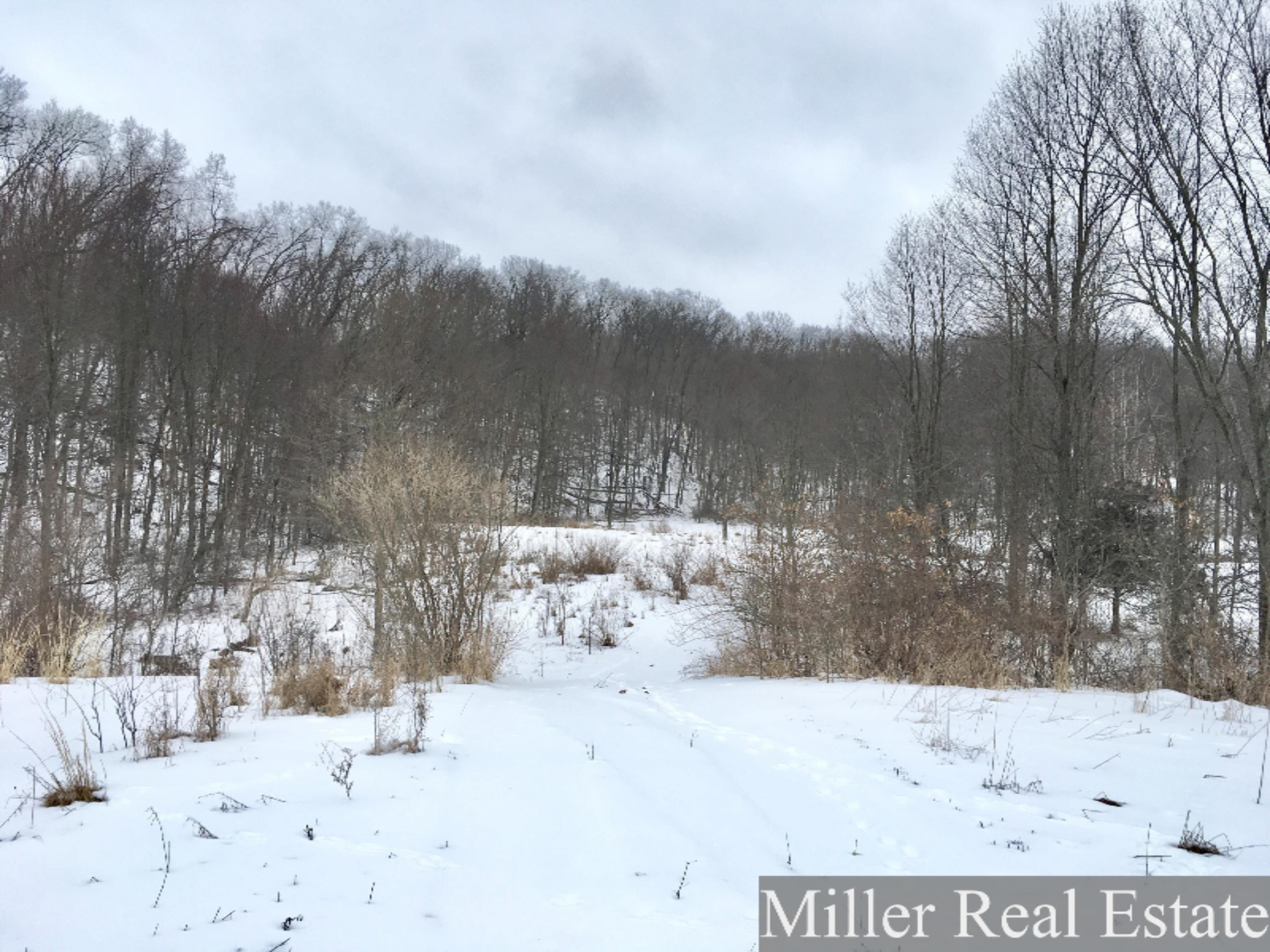 7475 South Norris Road Delton, MI 49046 - Photo 15 of 20 Photo Feb 20, 14 23 27