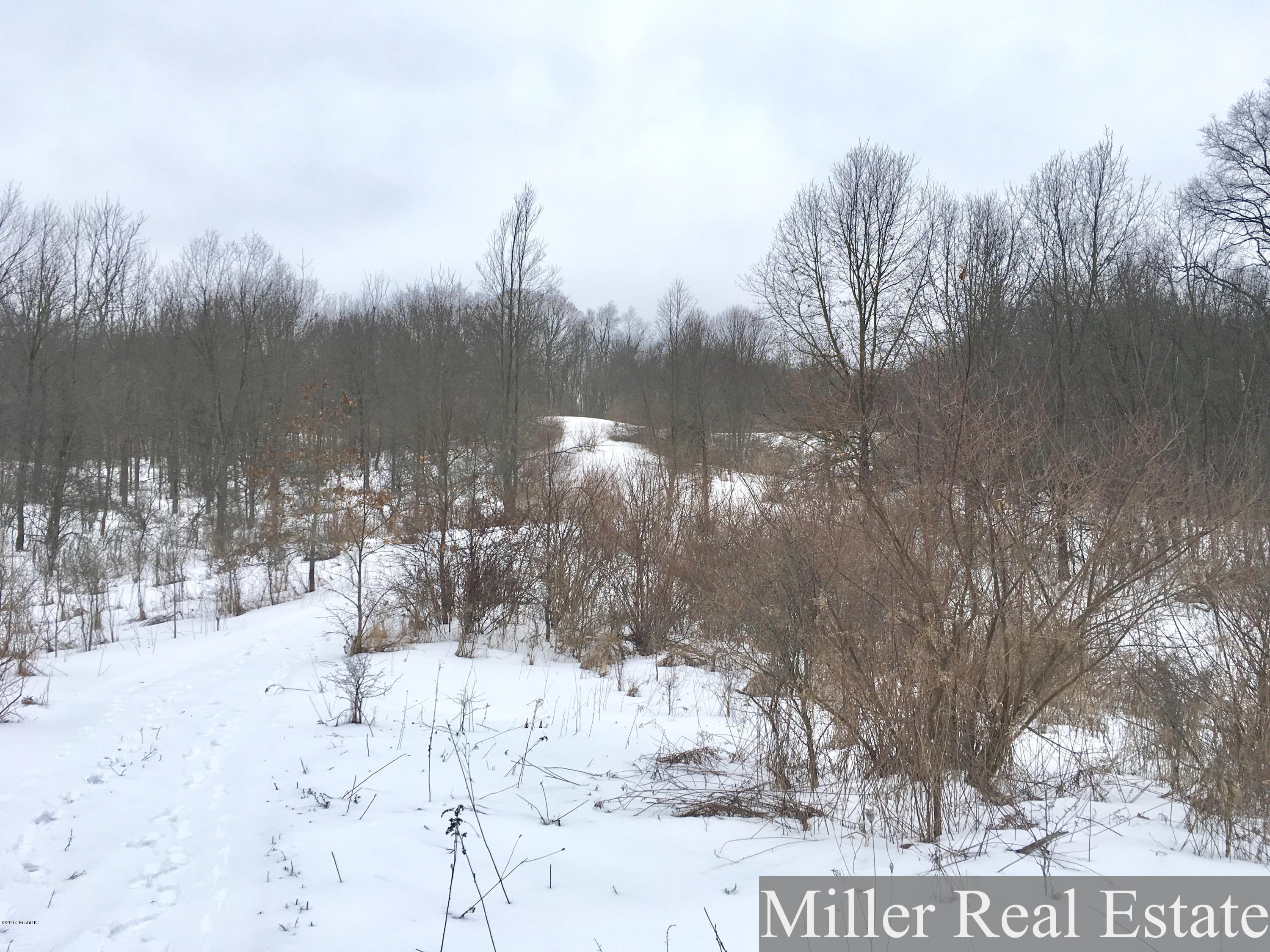 7475 South Norris Road Delton, MI 49046 - Photo 16 of 20 Photo Feb 20, 14 23 33