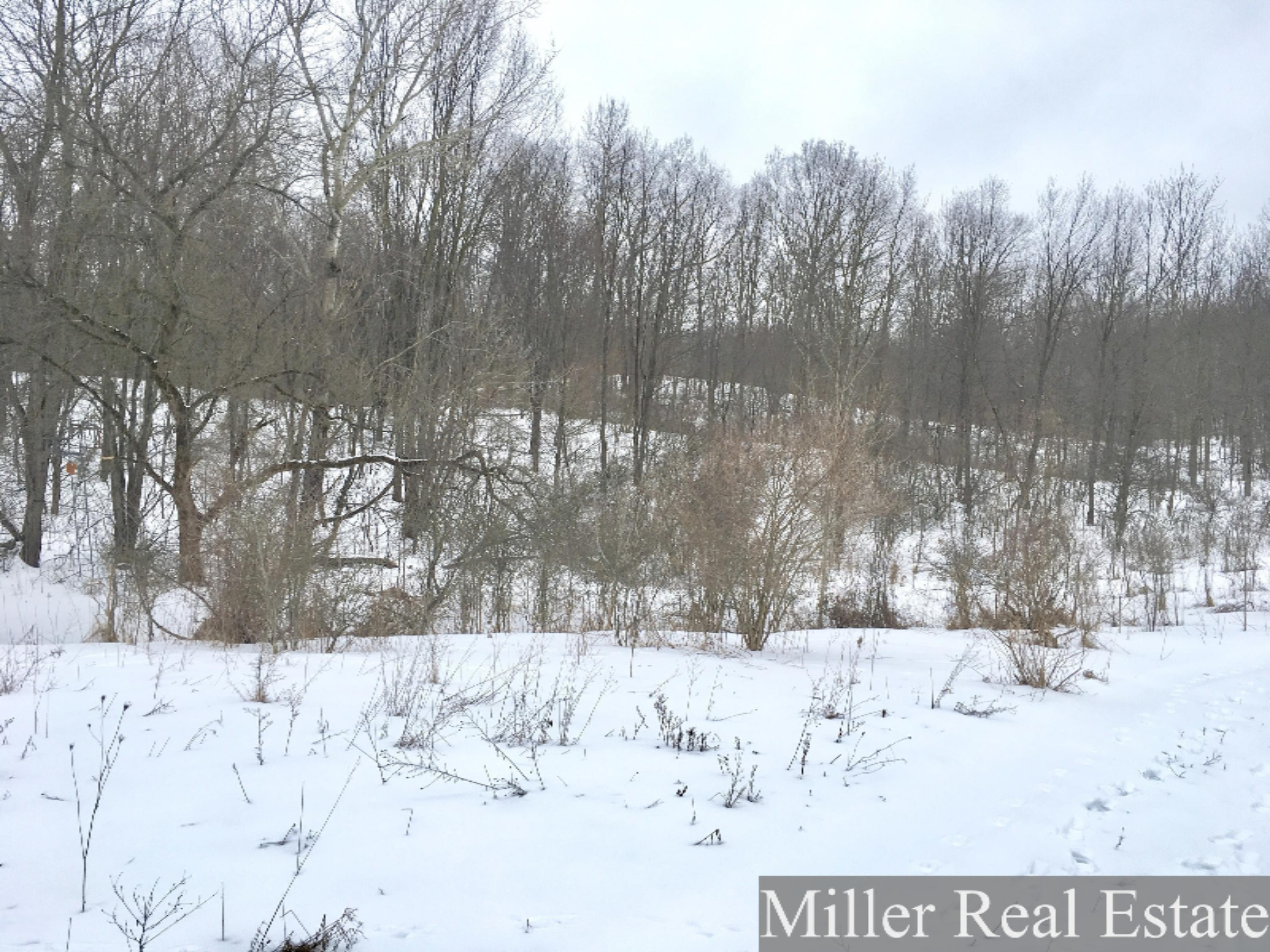 7475 South Norris Road Delton, MI 49046 - Photo 17 of 20 Photo Feb 20, 14 23 36
