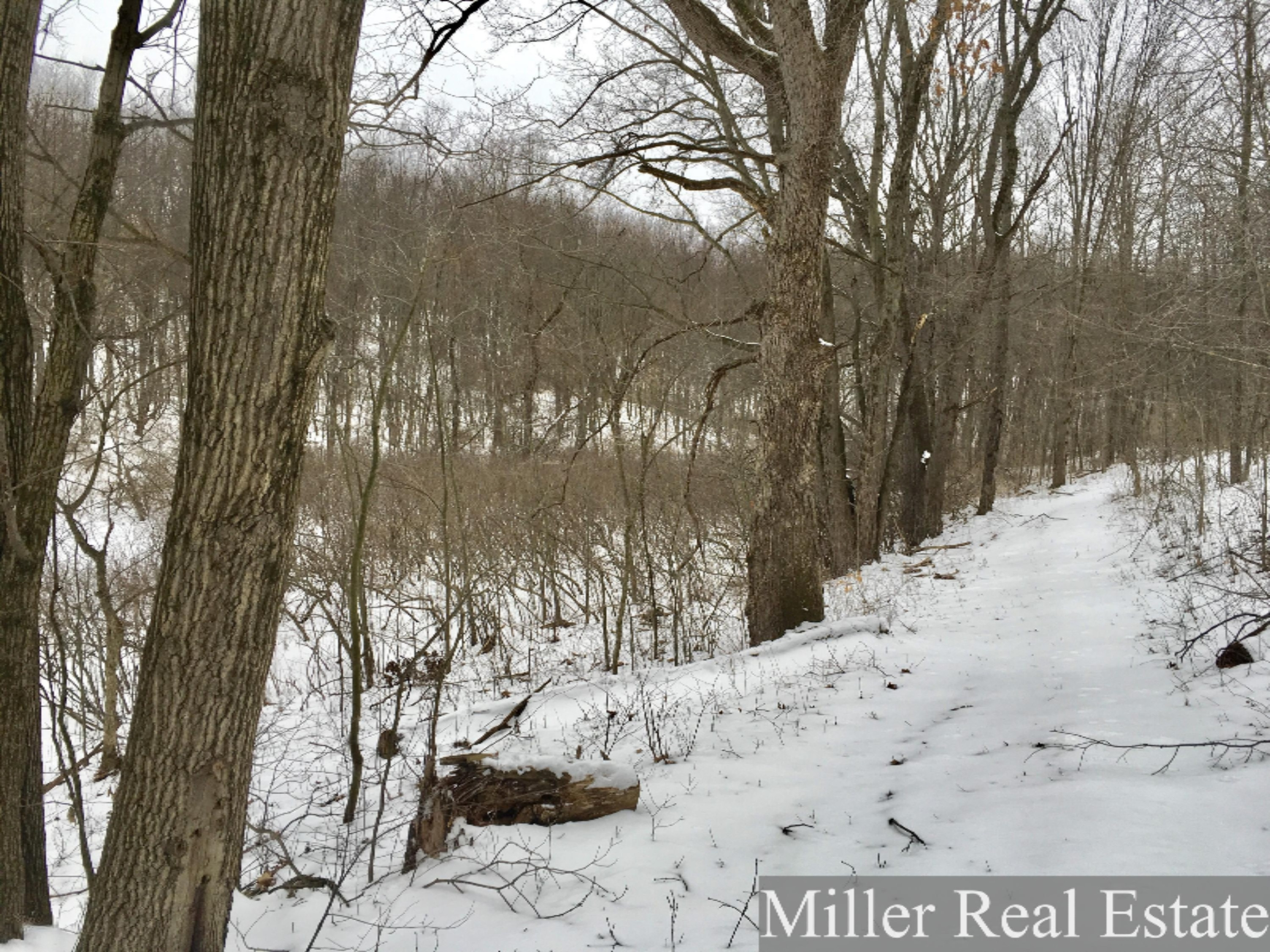 7475 South Norris Road Delton, MI 49046 - Photo 4 of 20 Photo Feb 20, 14 26 31