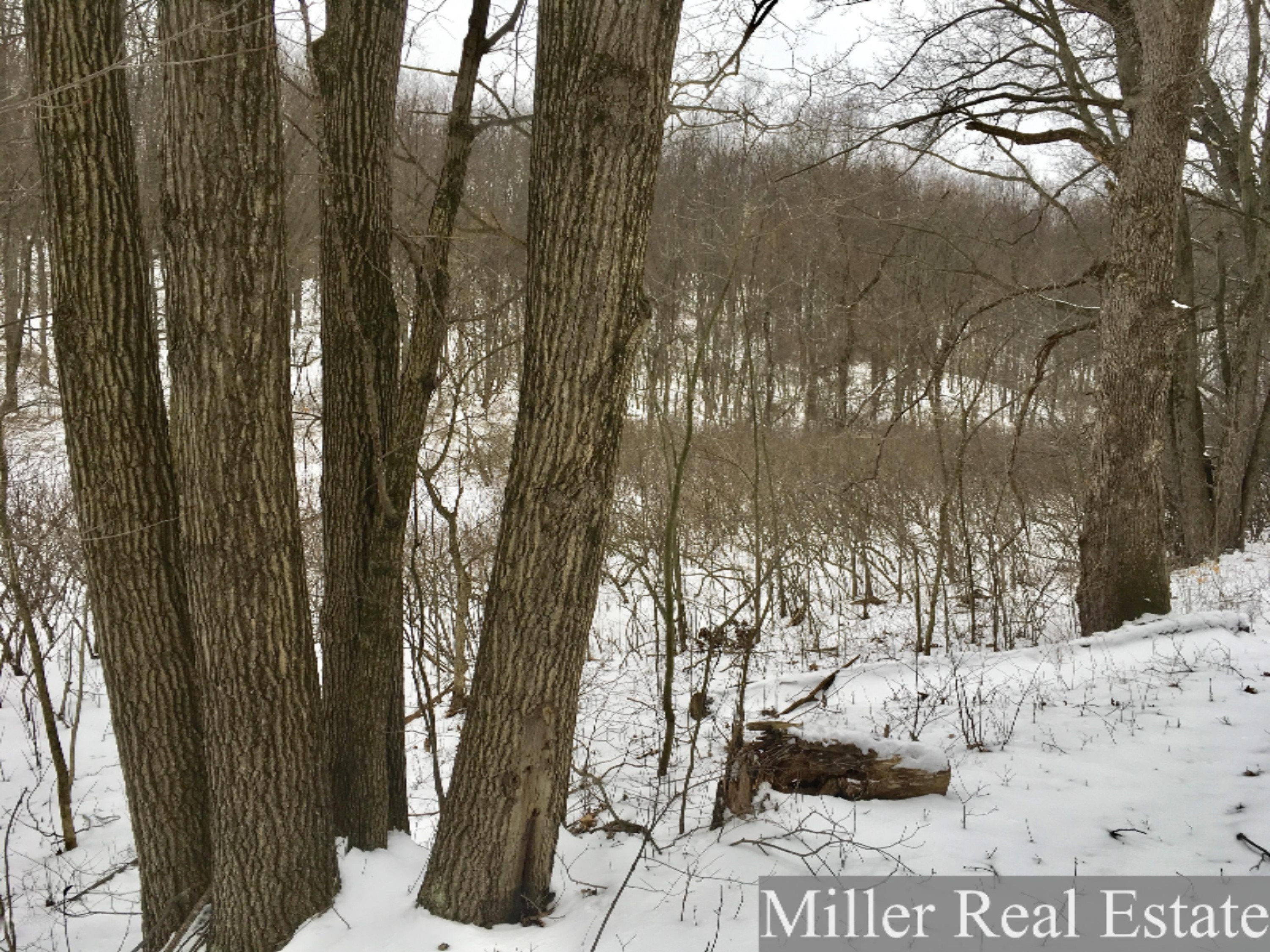 7475 South Norris Road Delton, MI 49046 - Photo 5 of 20 Photo Feb 20, 14 26 28