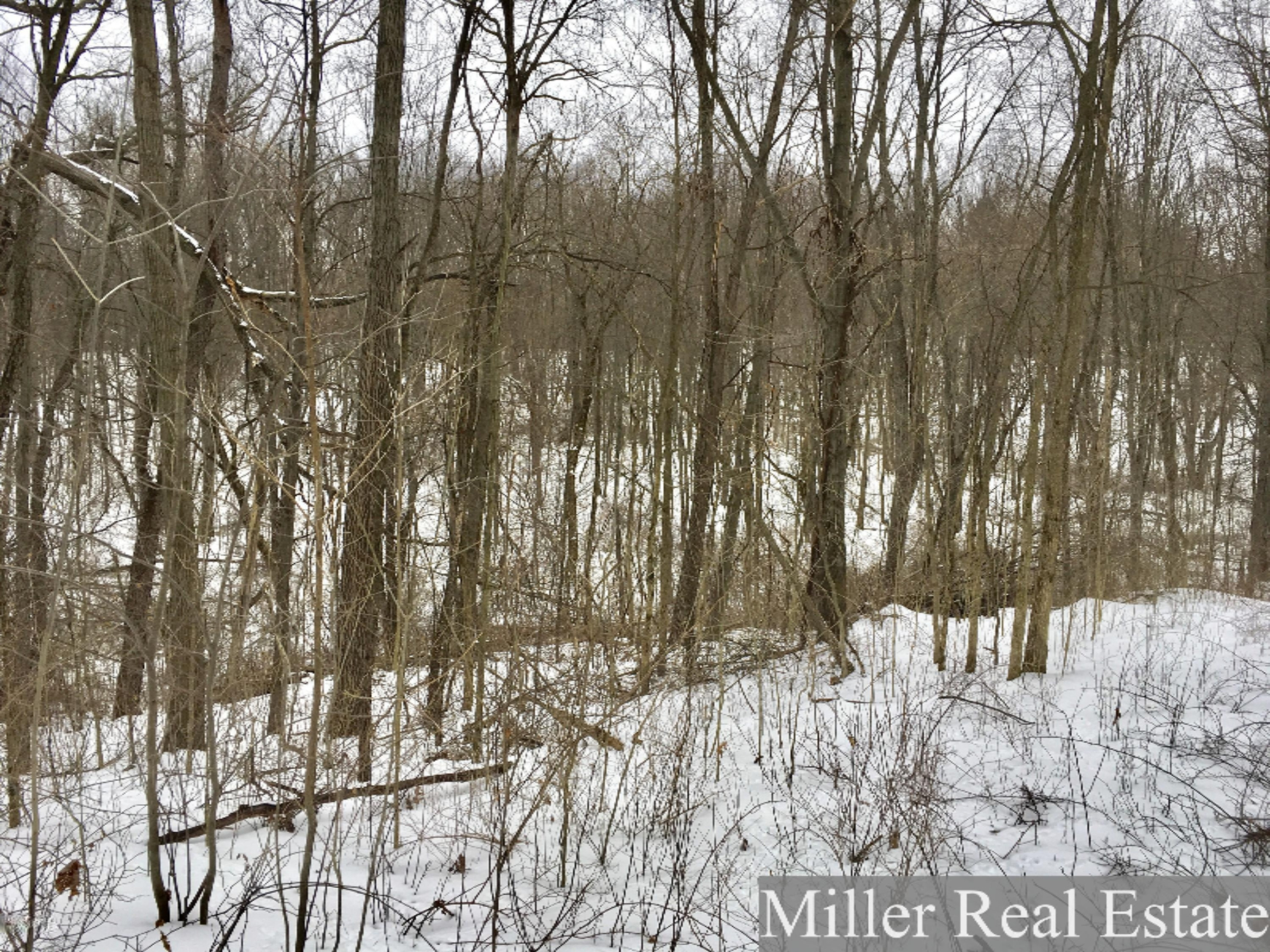 7475 South Norris Road Delton, MI 49046 - Photo 6 of 20 Photo Feb 20, 14 27 48