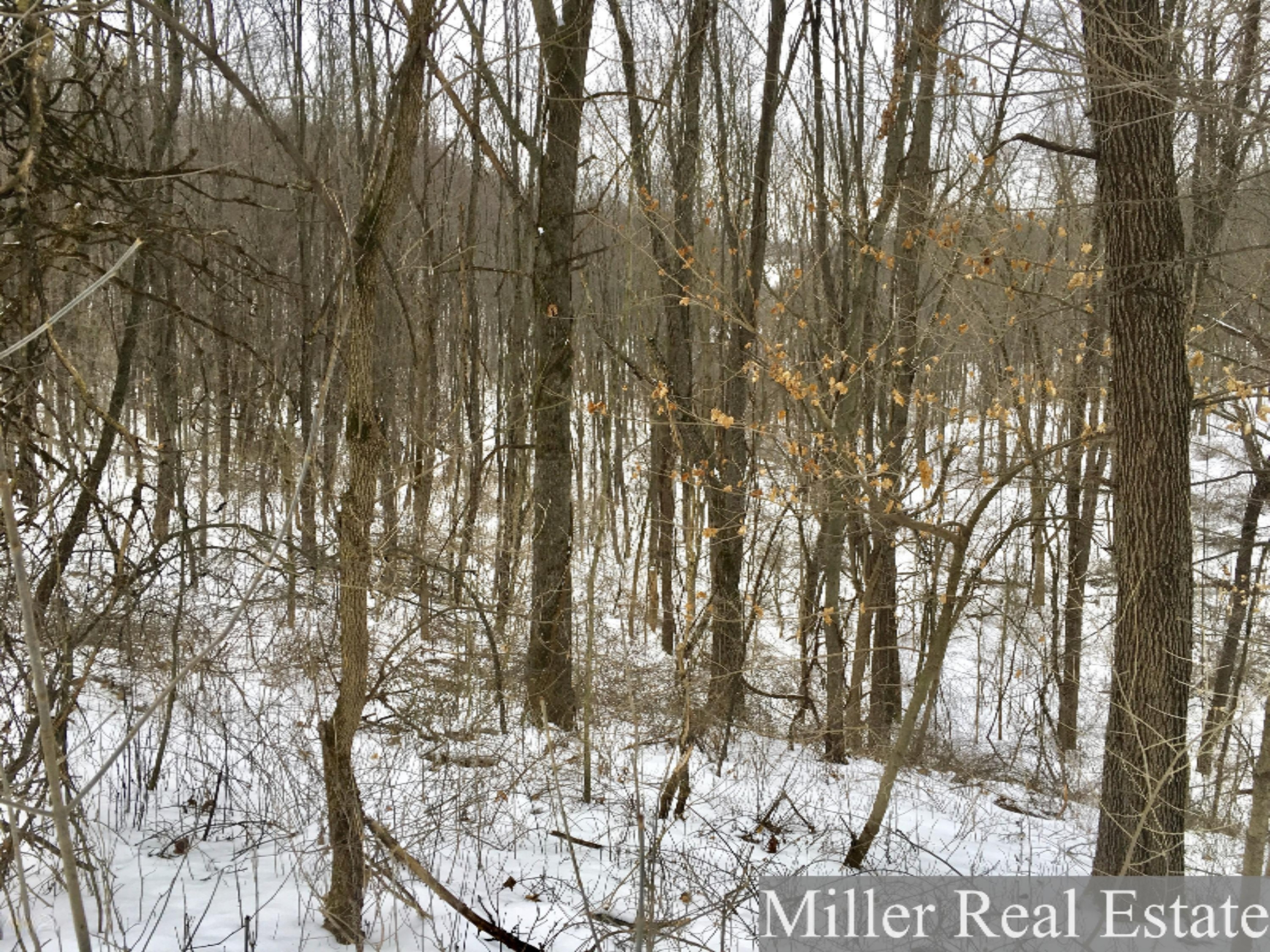 7475 South Norris Road Delton, MI 49046 - Photo 7 of 20 Photo Feb 20, 14 31 02