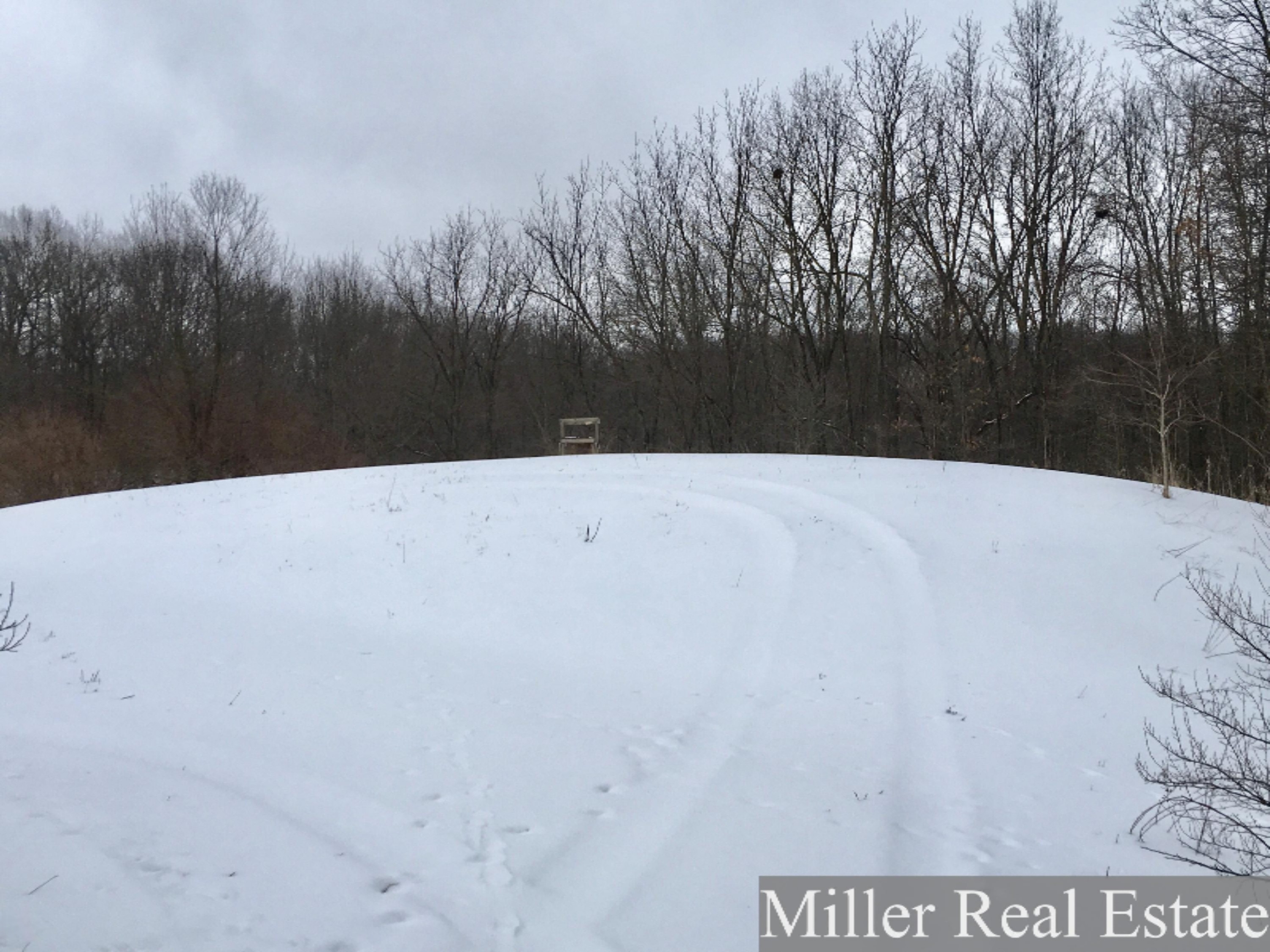 7475 South Norris Road Delton, MI 49046 - Photo 8 of 20 Photo Feb 20, 14 20 16