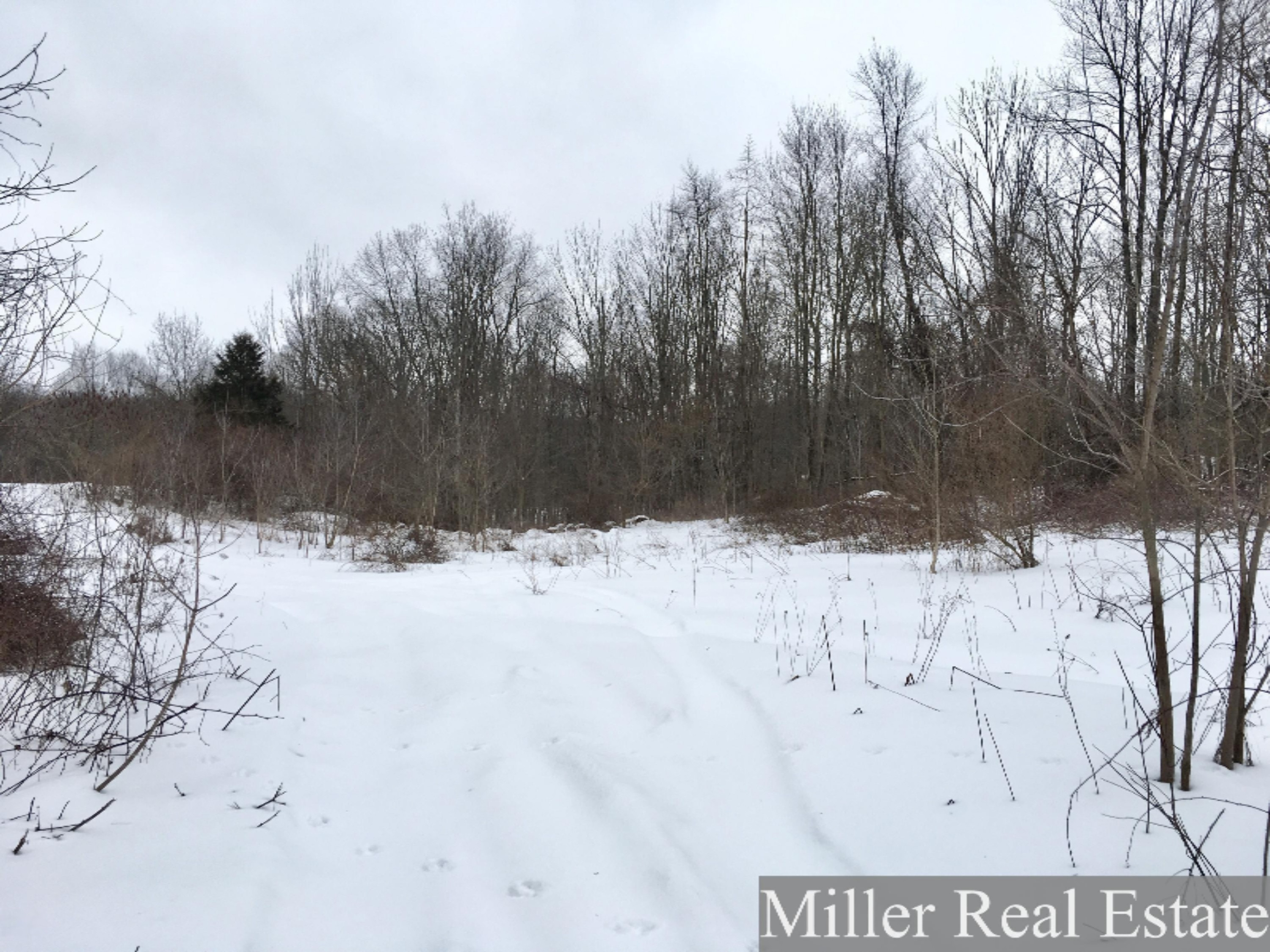 7475 South Norris Road Delton, MI 49046 - Photo 9 of 20 Photo Feb 20, 14 16 52