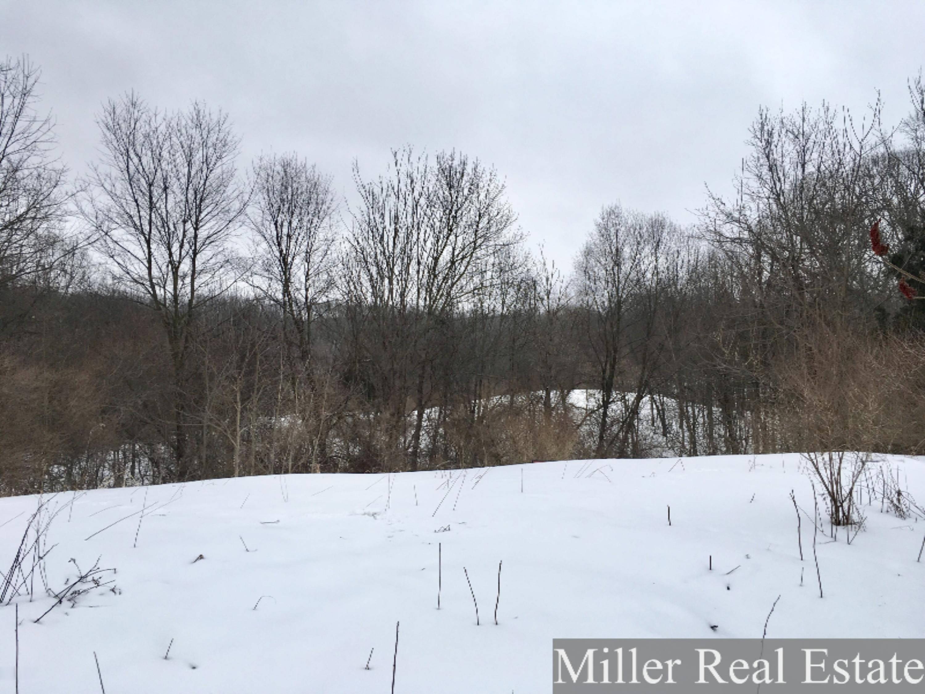 7475 South Norris Road Delton, MI 49046 - Photo 10 of 20 Photo Feb 20, 14 17 57