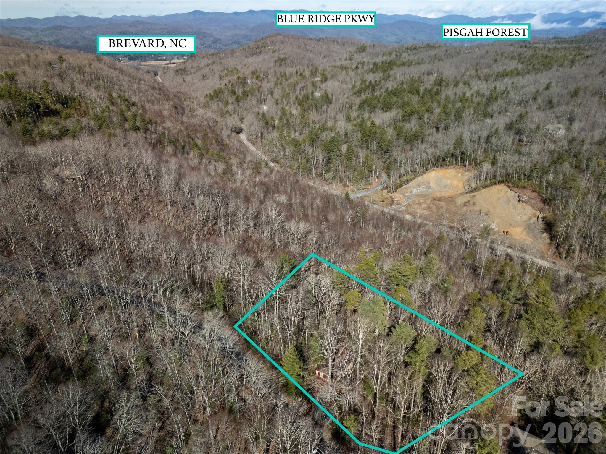 177 Walelu Court Brevard, NC 28712 - Photo 25 of 26 a view of a forest with a forest
