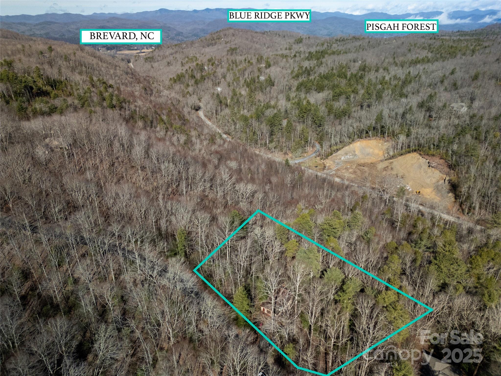 177 Walelu Court Brevard, NC 28712 - Photo 25 of 26 a view of a forest with a forest