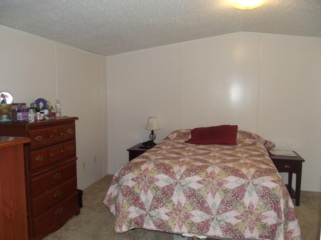 324 Creek Road Spring City, TN 37381 - Photo 12 of 36 master bedroom