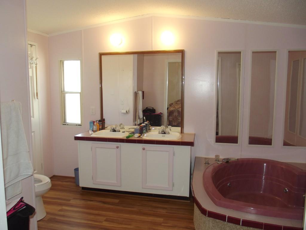 324 Creek Road Spring City, TN 37381 - Photo 15 of 36 master bath