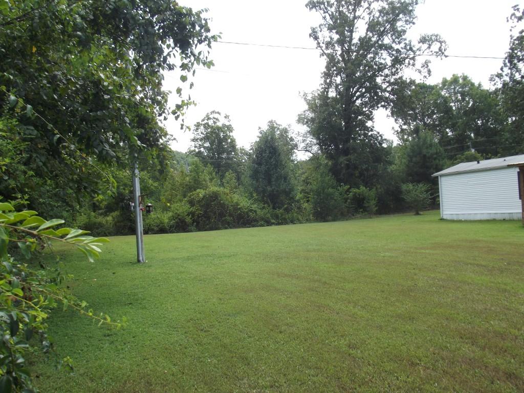 324 Creek Road Spring City, TN 37381 - Photo 26 of 36 back yard
