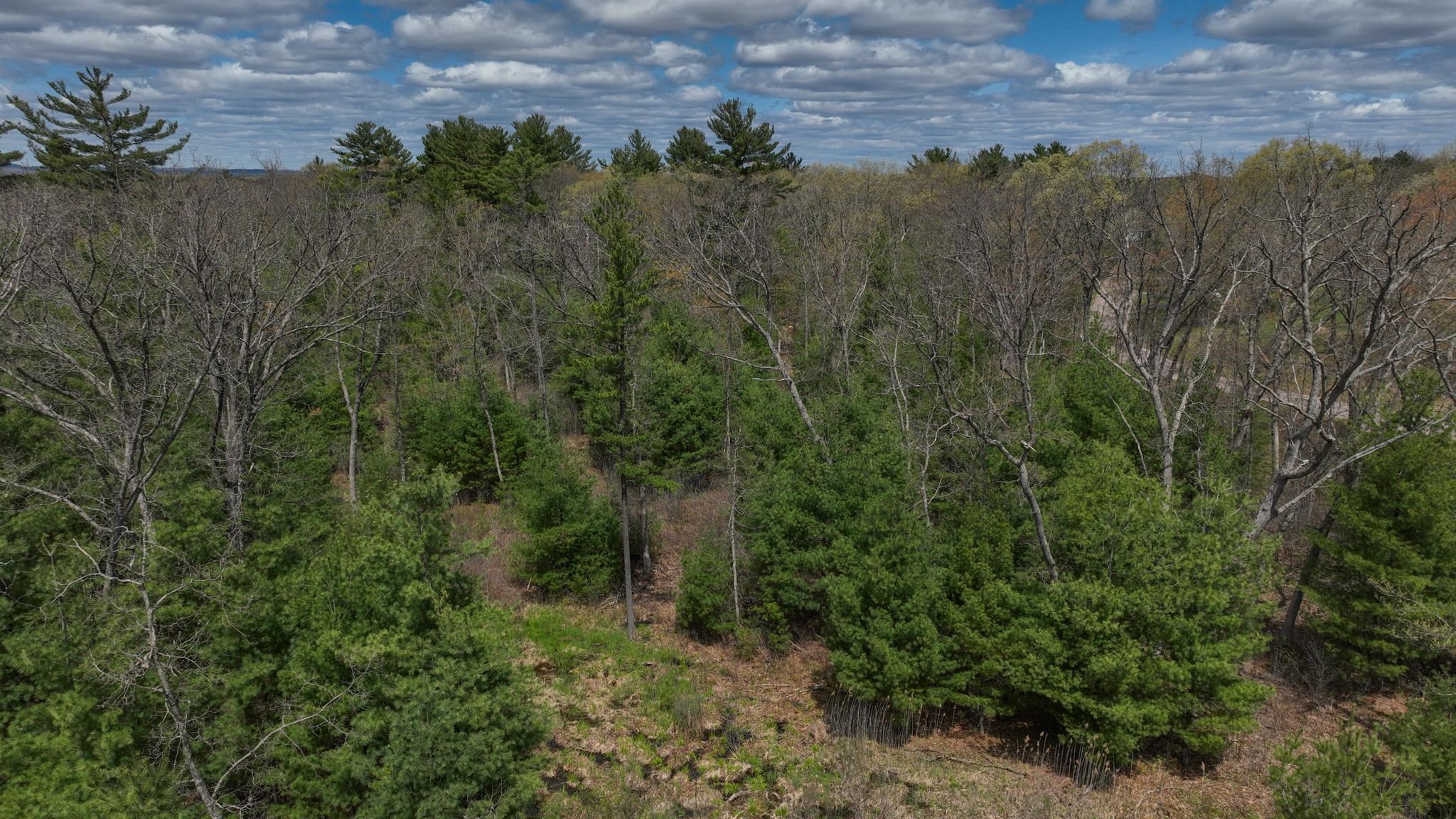 Lot 4 Grayling Tomah, WI 54660 - Photo 21 of 50
