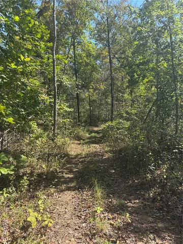 $349,999 | 214 Wayne 503 B, Lowndes, MO 63951