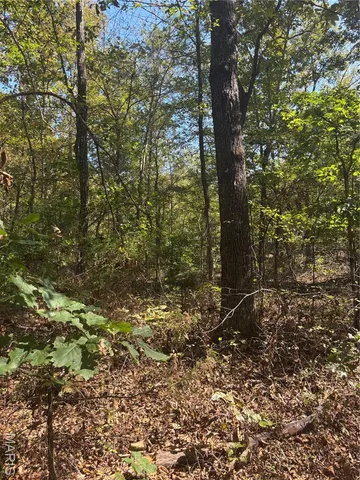 $349,999 | 214 Wayne 503 B, Lowndes, MO 63951