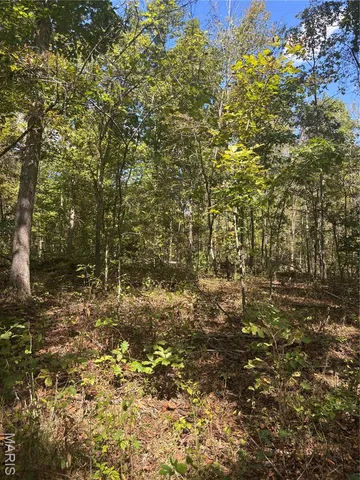 $349,999 | 214 Wayne 503 B, Lowndes, MO 63951