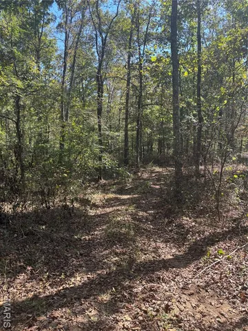 $349,999 | 214 Wayne 503 B, Lowndes, MO 63951