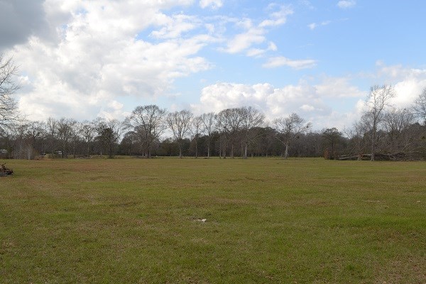 7649 South Ct Road Slocomb, AL 36375 - Photo 1 of 1