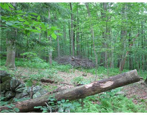 4 Walker Road Foster, RI 02825 - Photo 11 of 11 Land.