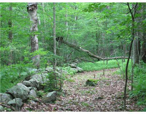 4 Walker Road Foster, RI 02825 - Photo 8 of 11 Land.