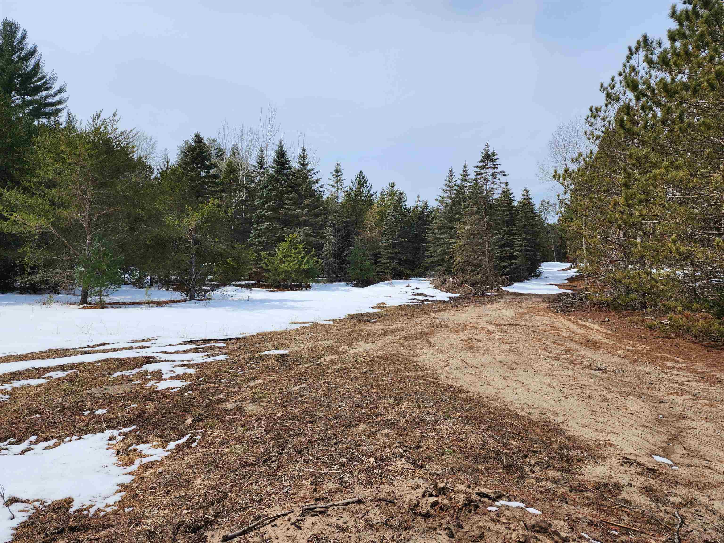 0 Niemi Road Kaleva, MI 49645 - Photo 6 of 23