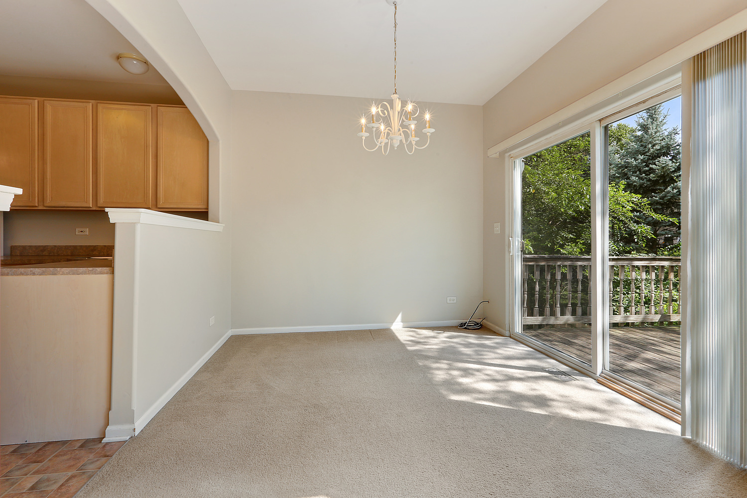 387 Aaron Lane Bolingbrook, IL 60440 - Photo 6 of 16