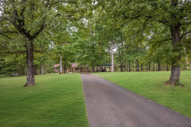 a huge green field with lots of trees