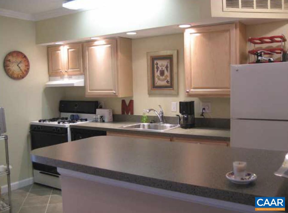 111 Hessian Hills Ridge, Unit 2 Charlottesville, VA 22901 - Photo 2 of 12 a kitchen with a sink and a stove top oven