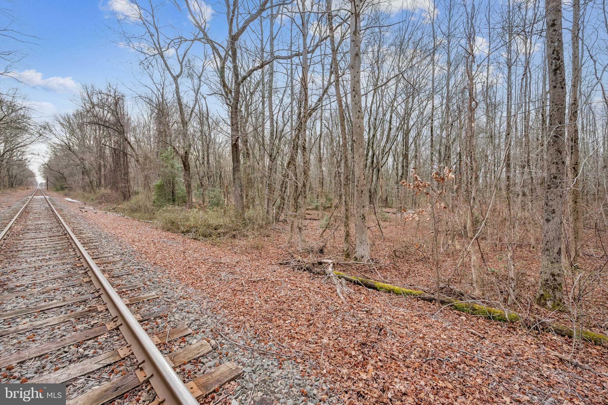 0 Fillmore Avenue Glassboro, NJ 08028 - Photo 4 of 16 a view of a backyard