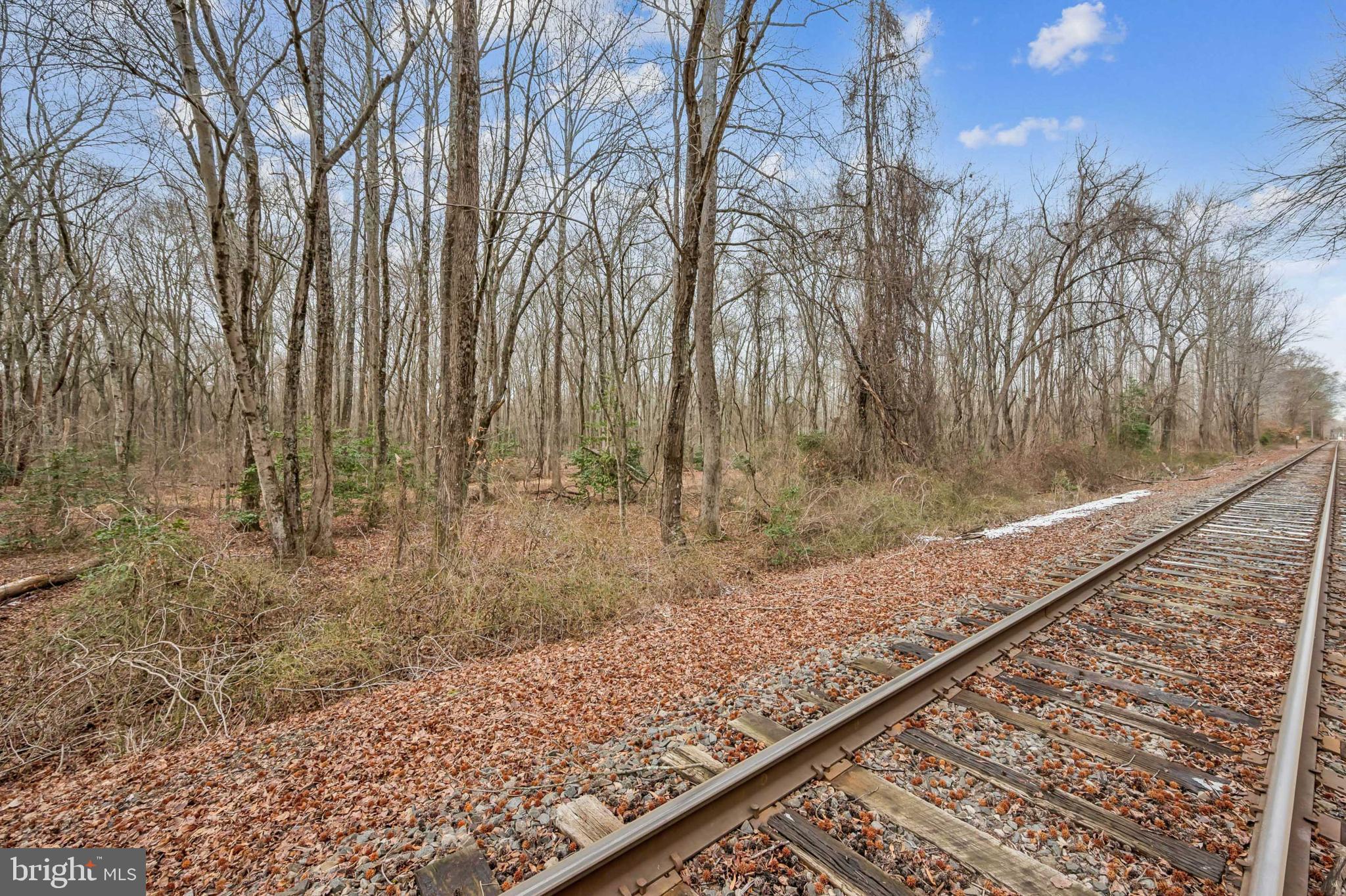 0 Fillmore Avenue Glassboro, NJ 08028 - Photo 5 of 16 a view of a backyard