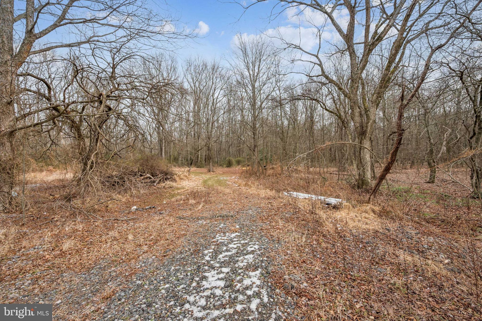 0 Fillmore Avenue Glassboro, NJ 08028 - Photo 8 of 16 a view of a yard with trees