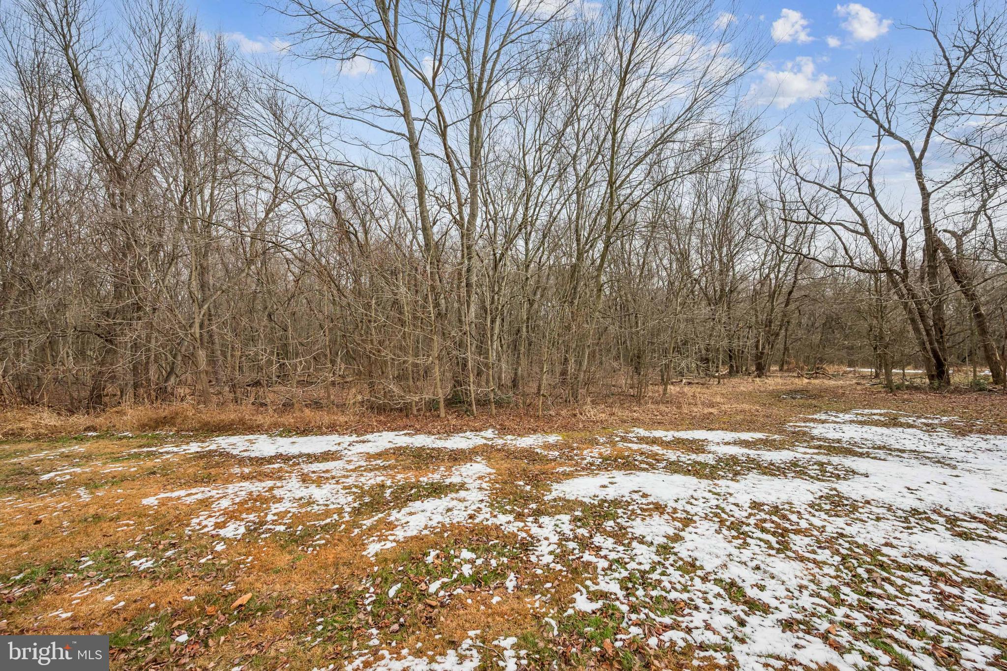 0 Fillmore Avenue Glassboro, NJ 08028 - Photo 9 of 16 a view of a yard with trees