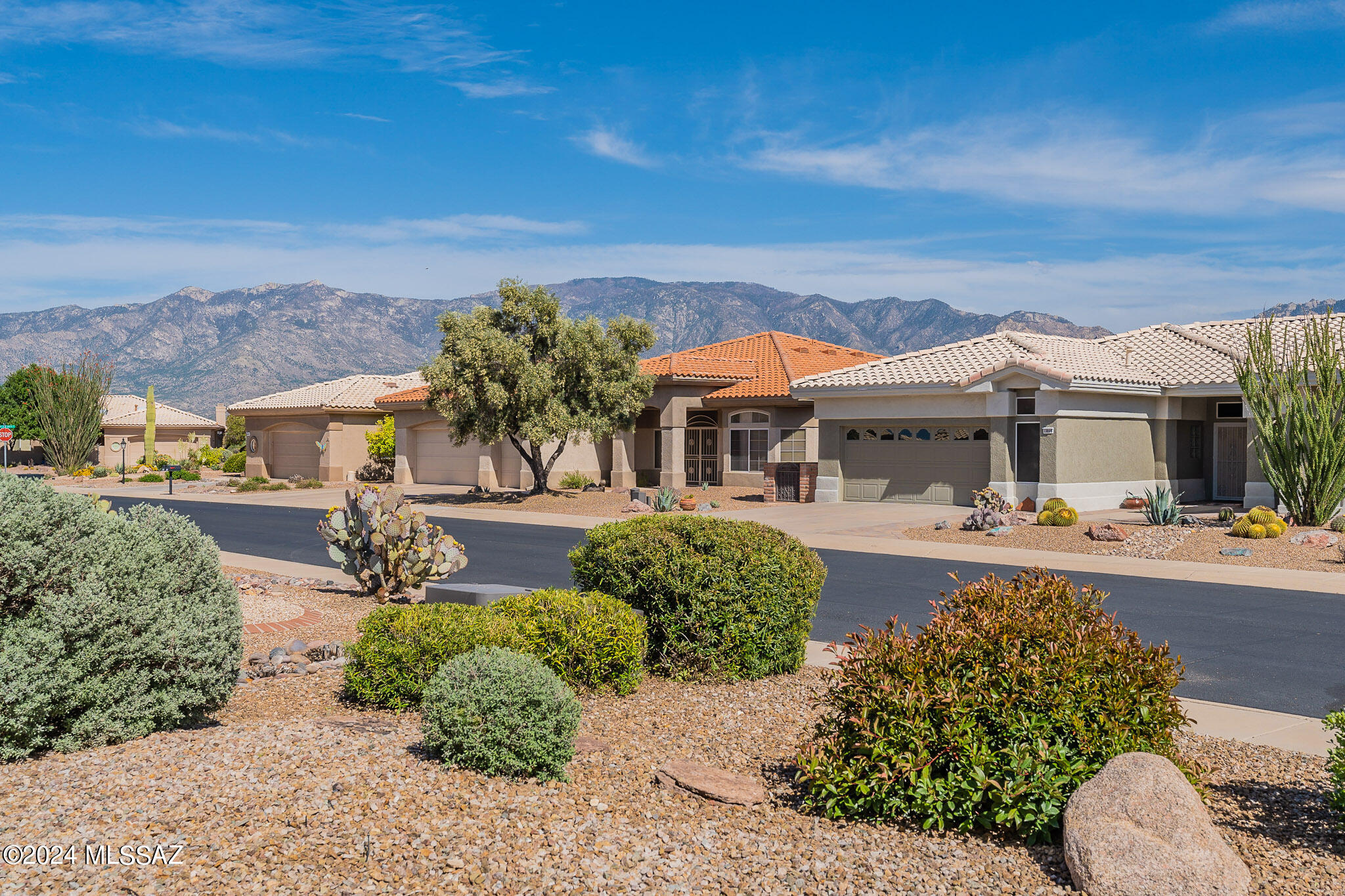 1795 East Lone Rider Way Oro Valley, AZ 85755 - Photo 5 of 34