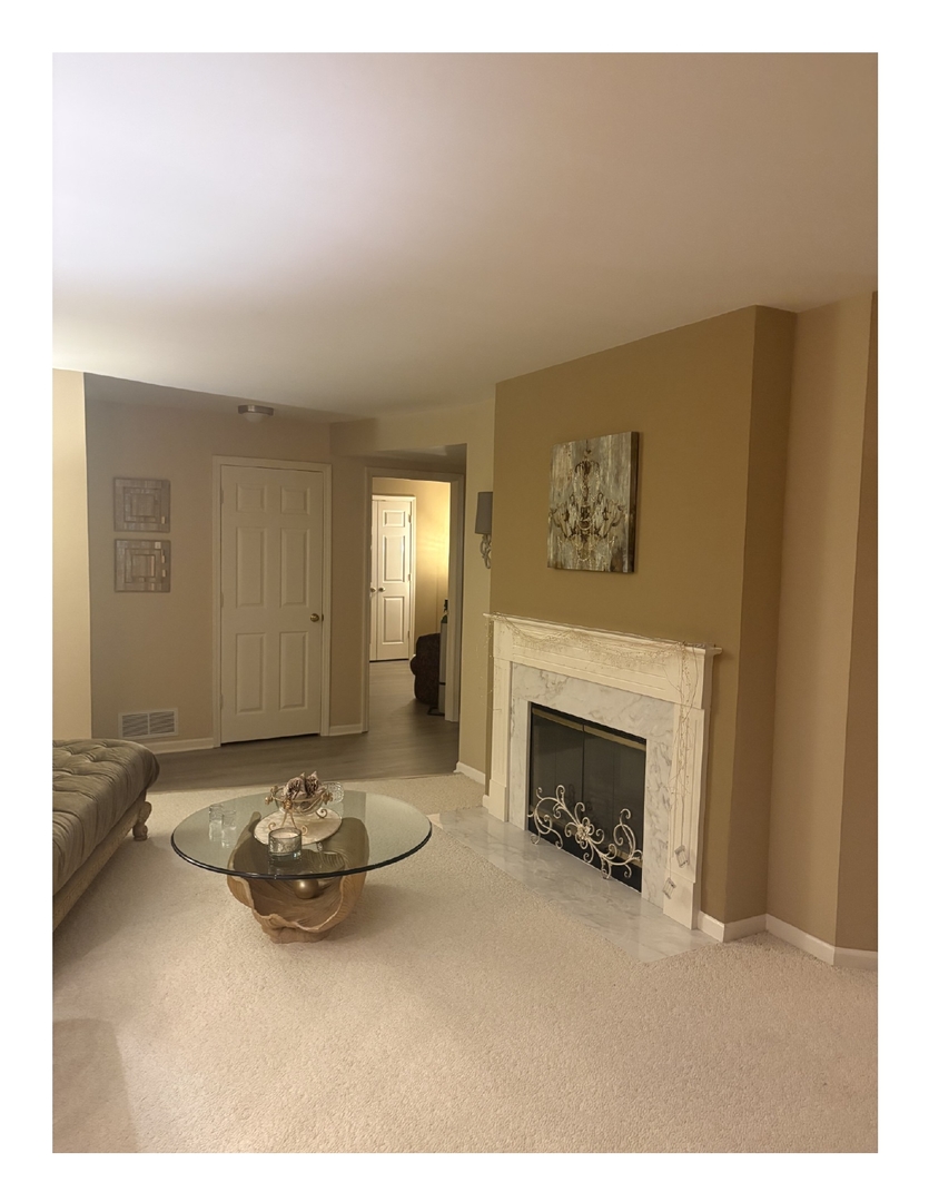 1249 Oak Hill Road, Unit CONDO Lake Barrington, IL 60010 - Photo 4 of 22 a view of a livingroom with furniture and a fireplace