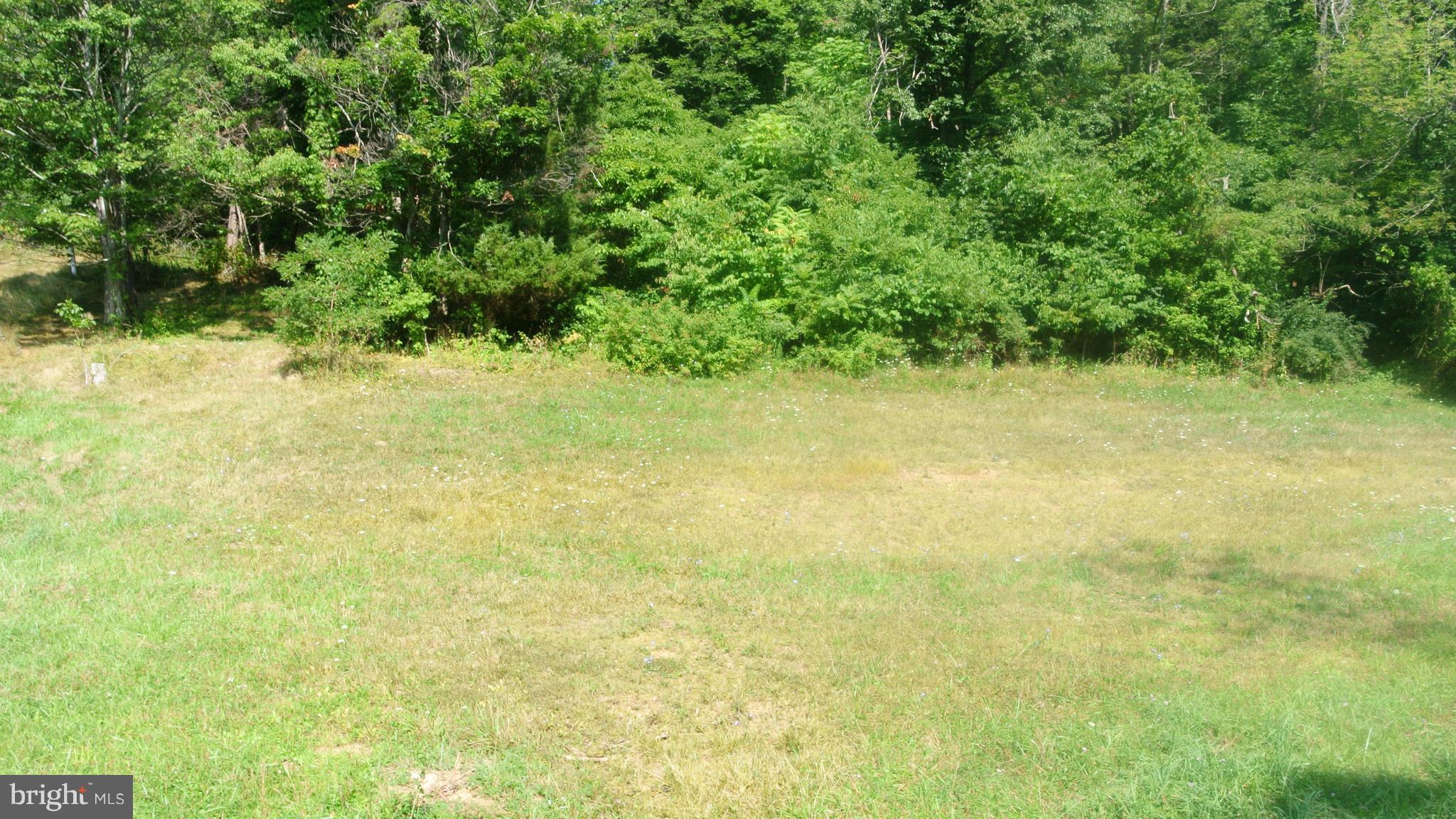 New Hope Road Bloomery, WV 26817 - Photo 4 of 7 View