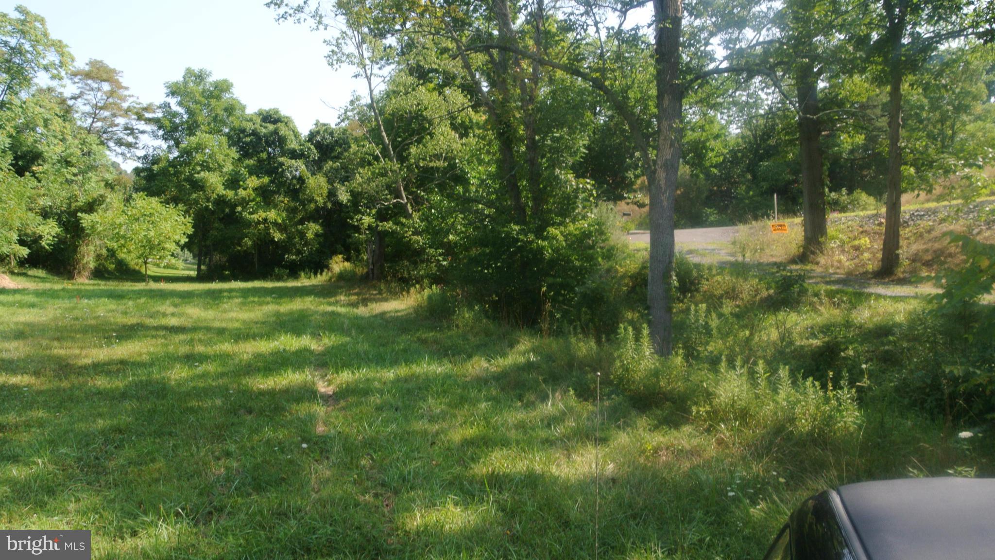 New Hope Road Bloomery, WV 26817 - Photo 5 of 7 View