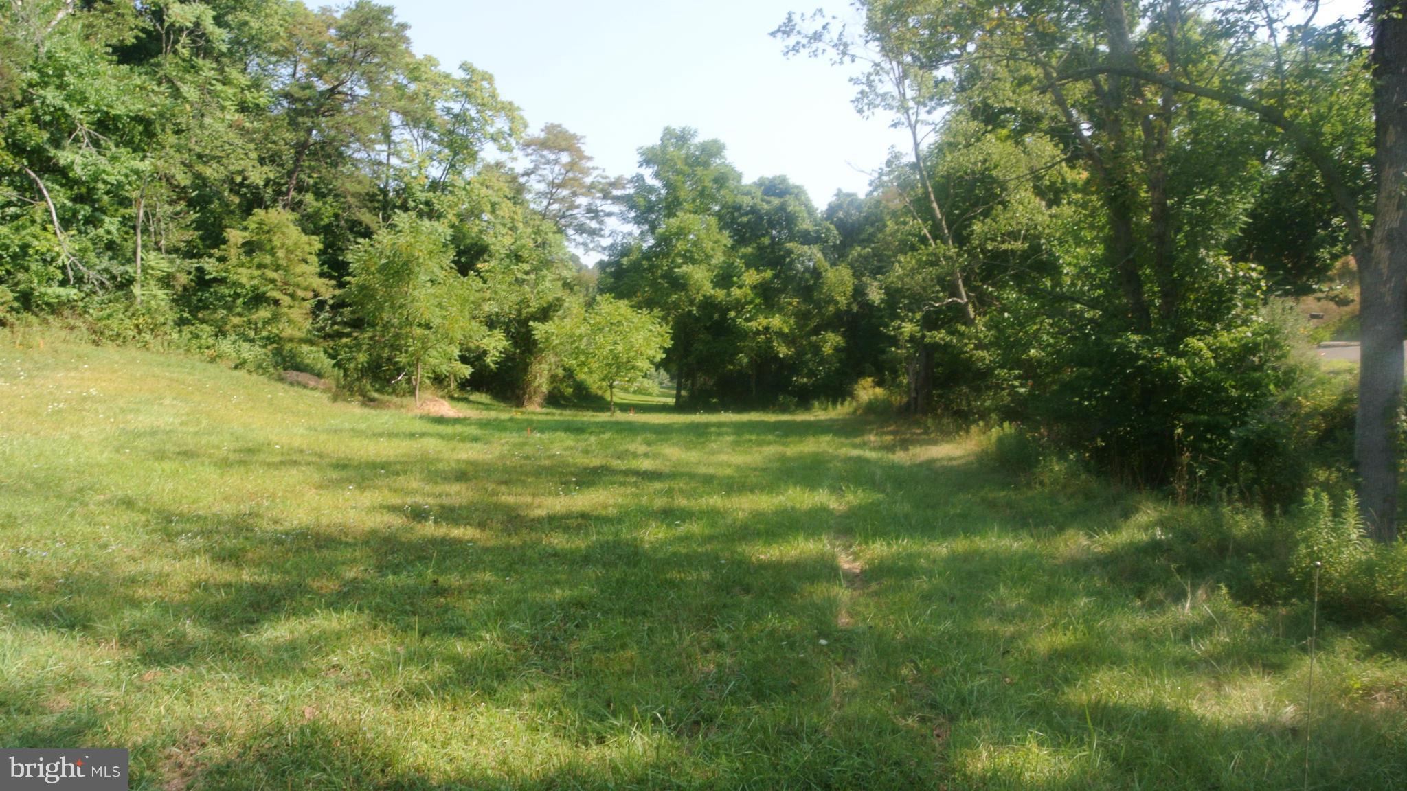 New Hope Road Bloomery, WV 26817 - Photo 6 of 7 View