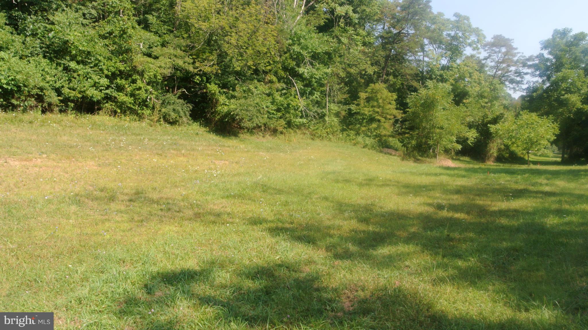 New Hope Road Bloomery, WV 26817 - Photo 7 of 7 View