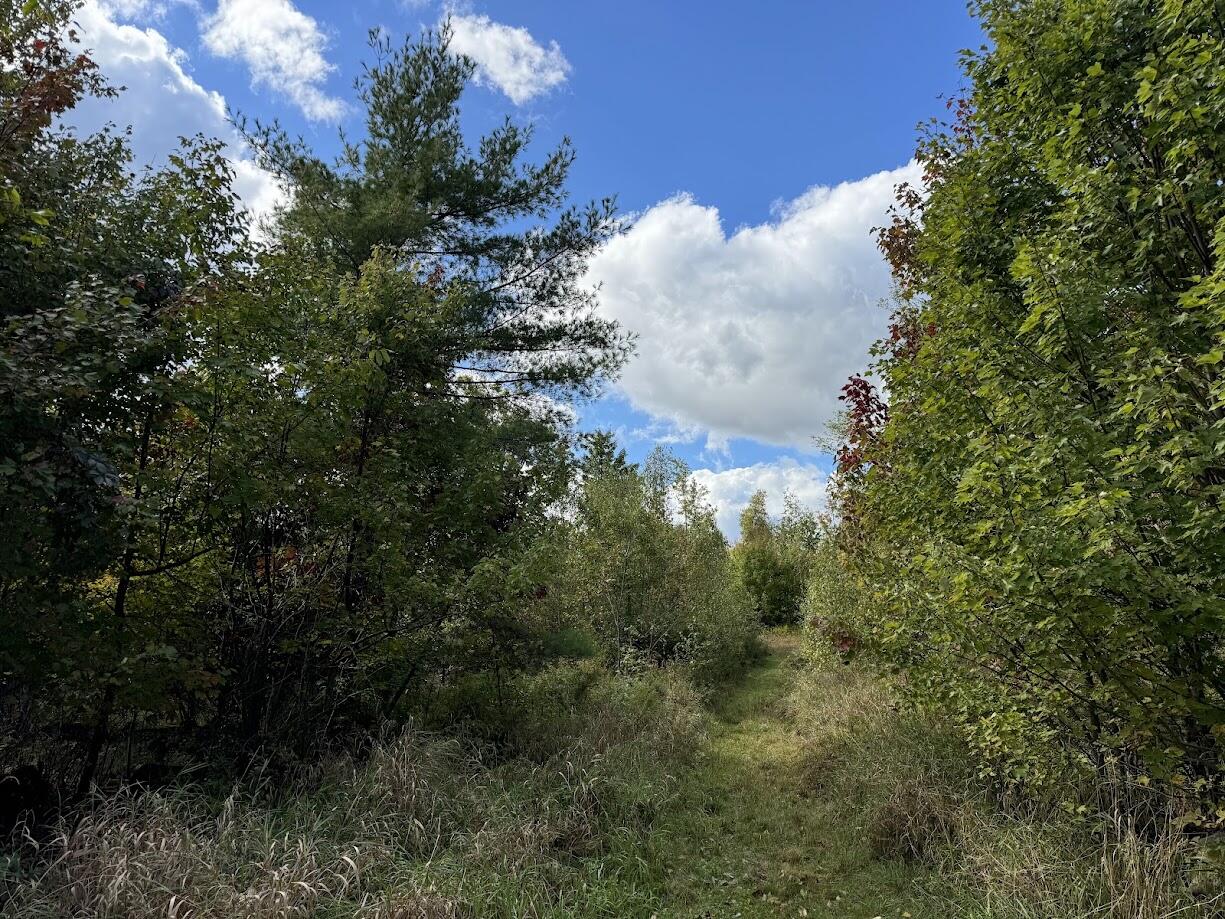 45 Freedom Road Belgrade, ME 04917 - Photo 51 of 81