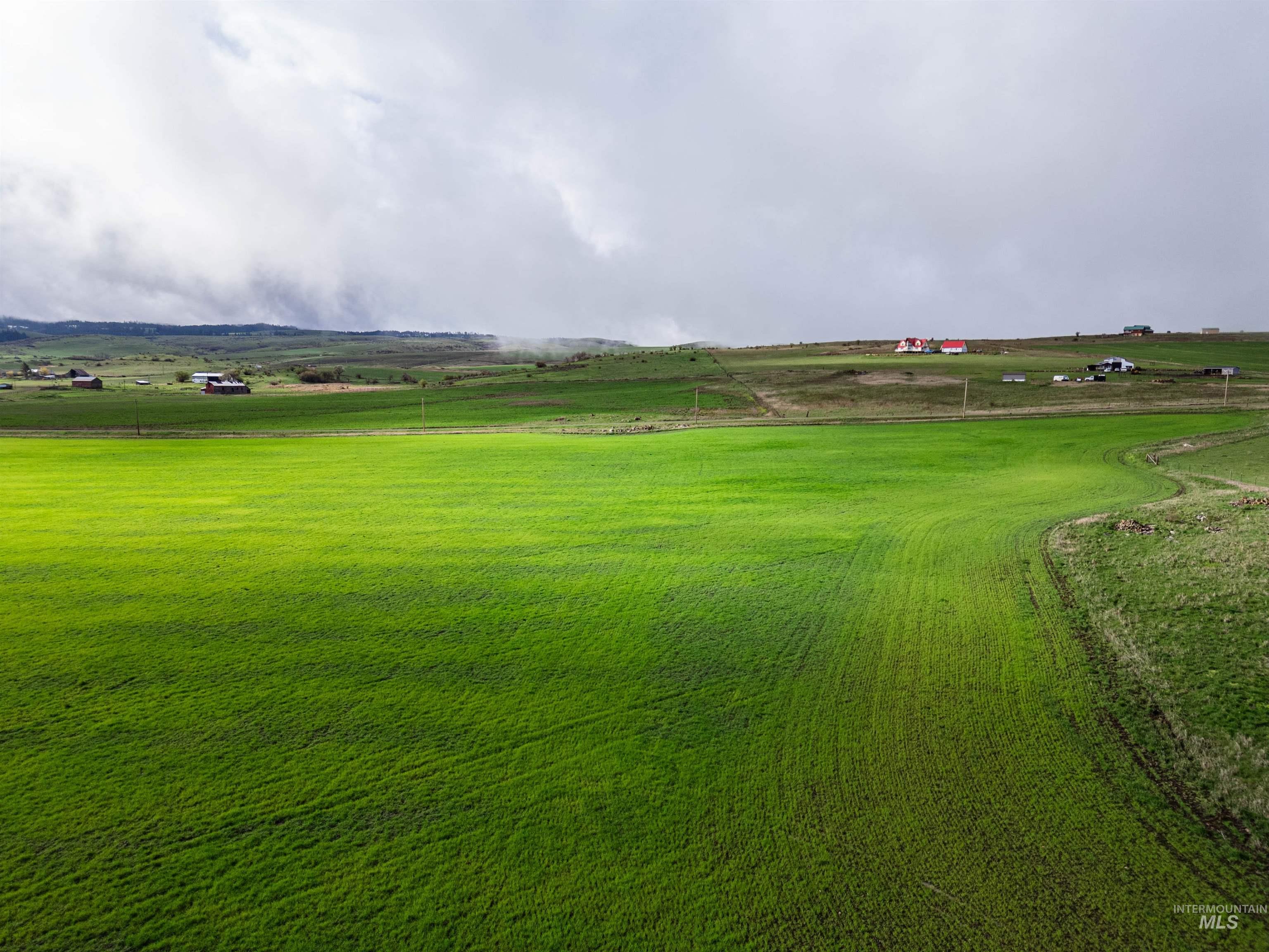 Lot 2 Gill Point Road Grangeville, ID 83530 - Photo 11 of 20